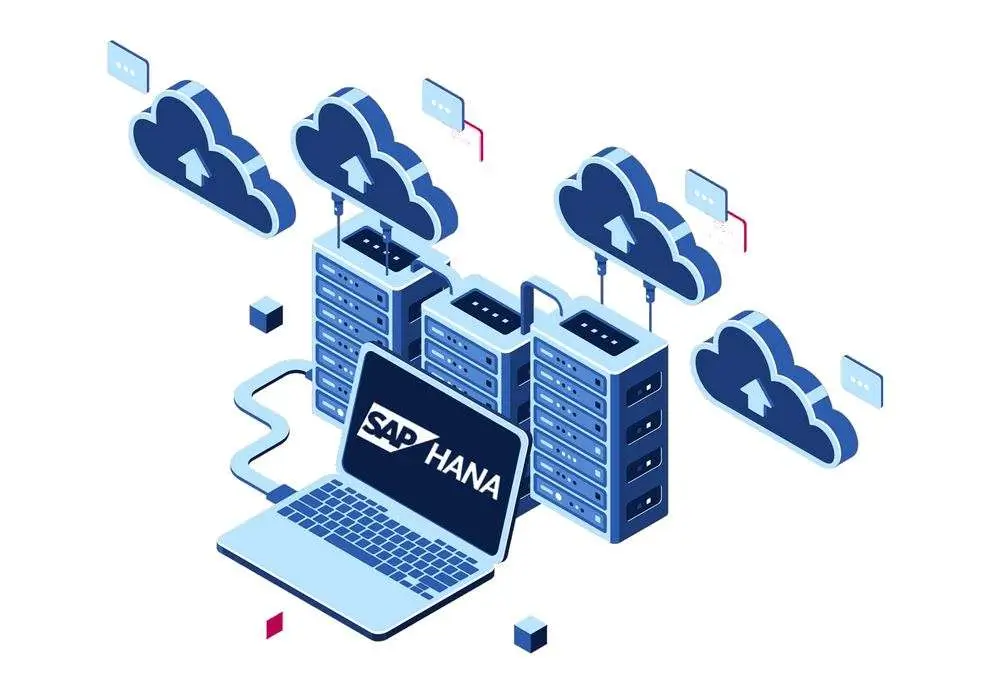 custom-application-development