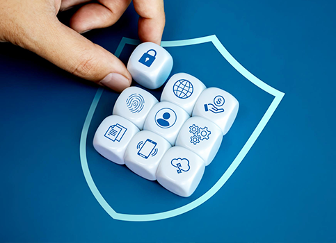 enterprise_application_assurance_Section